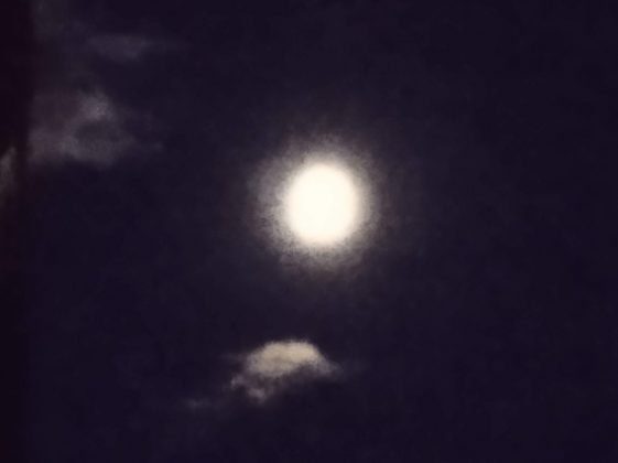 Redmi 7a - ночной снимок макро