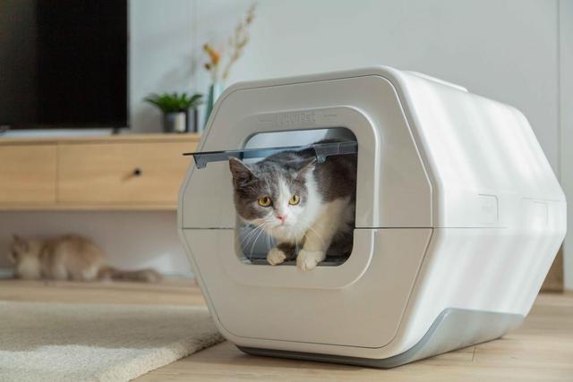 LuluPet AI Smart Cat Litter Box