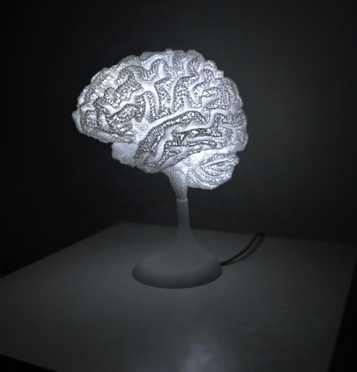 На 3D-принтере создают настольную лампу, которая в точности копирует мозг