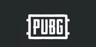 В PUBG появится “патруль” для борьбы с читерами, как в CS:GO