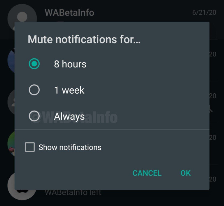 В WhatsApp можно будет навсегда отключить уведомления в групповых чатах