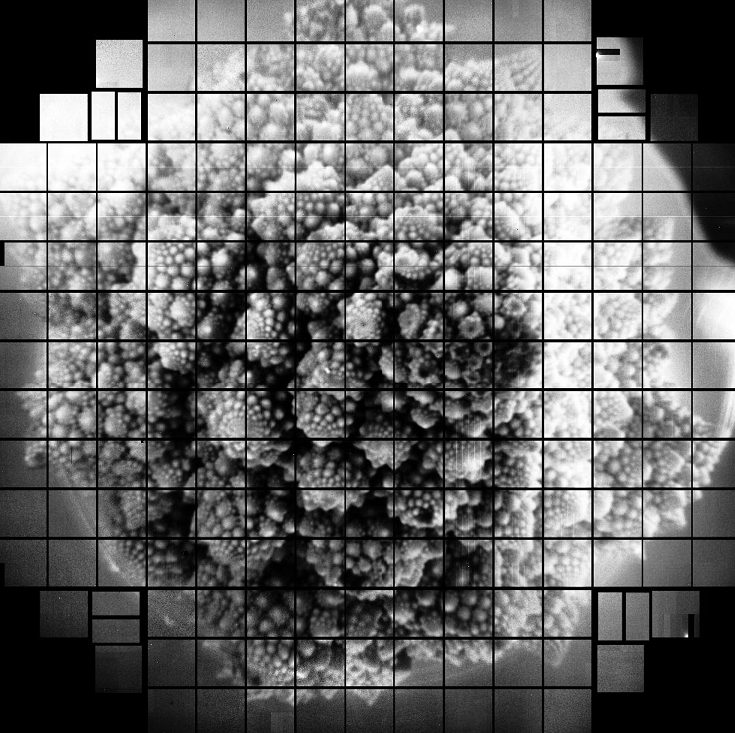 Мощнейшей фотокамерой на 3200 Мп ученые сфотографировали кочан капусты