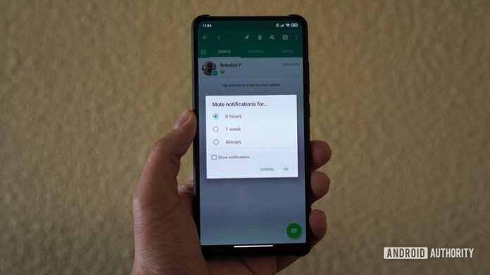 WhatsApp тестирует интересную опцию