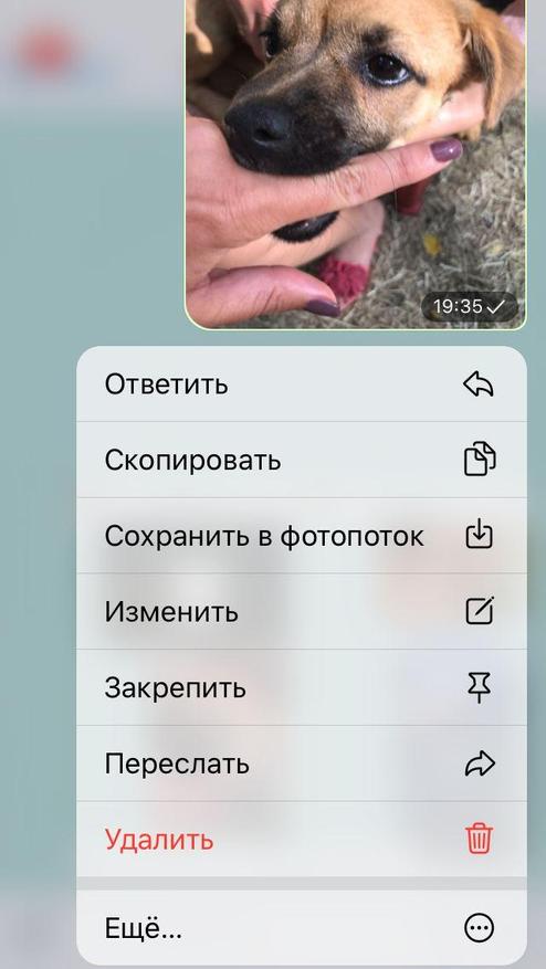 Пять скрытых возможностей Telegram