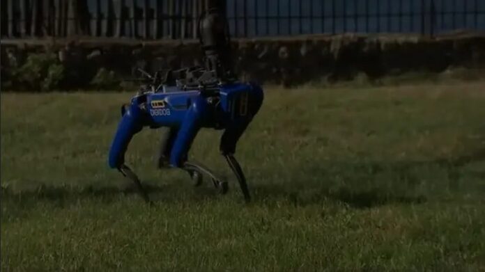 Полиция Нью-Йорка отказалась от использования робопсов компании Boston Dynamics