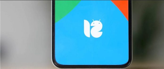 Какие смартфоны Xiaomi уже получили Android 12