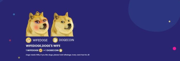 Клон Dogecoin взлетел почти на 1000% за один день
