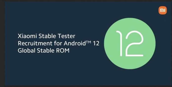 Xiaomi приглашает владельцев Mi 11 поучаствовать в тестировании Android 12