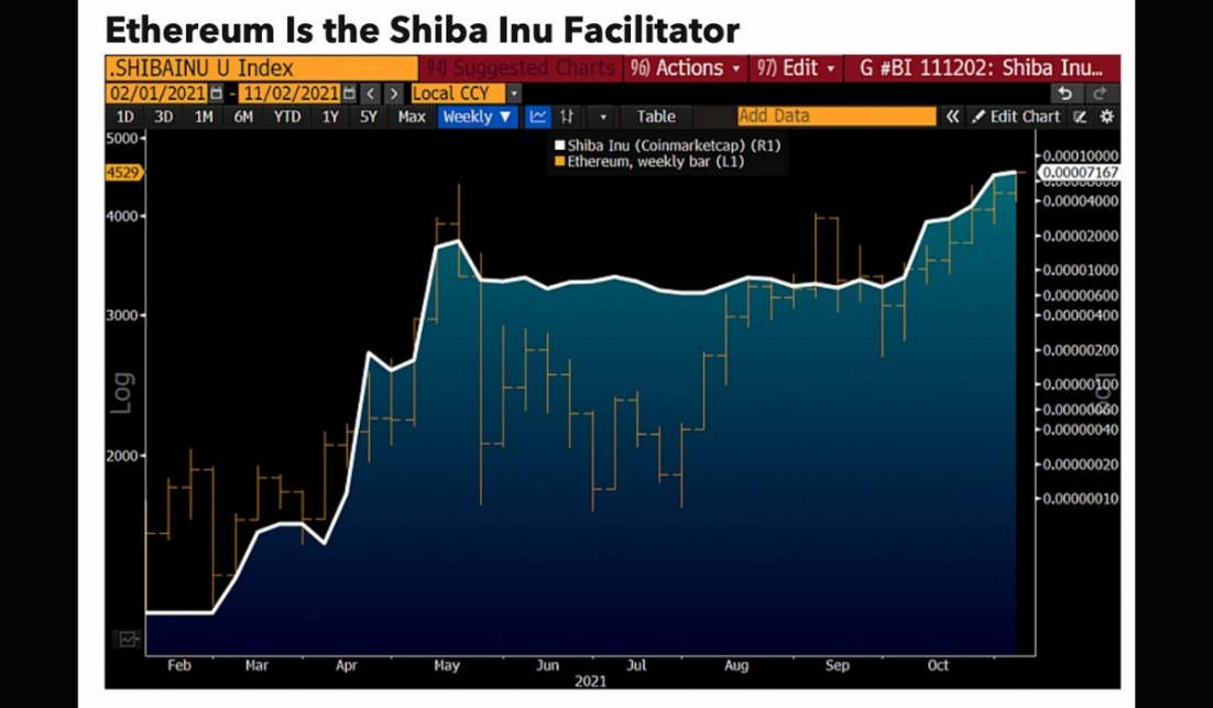 Аналитики Bloomberg назвали Shibu Inu «причудой» и предсказали ей печальную участь 