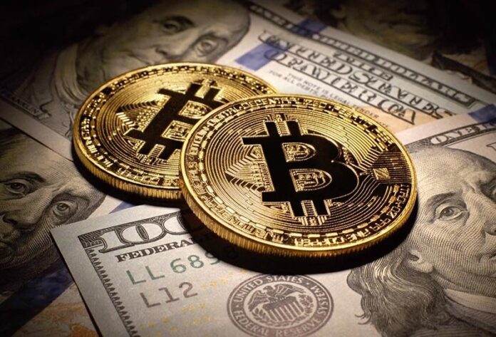 Держателям Bitcoin следует быть готовыми к «обвалу курса» на 35%