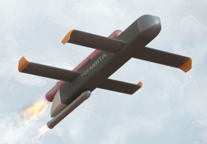 В Украине стартовала разработка крылатой ракеты «Трембита»