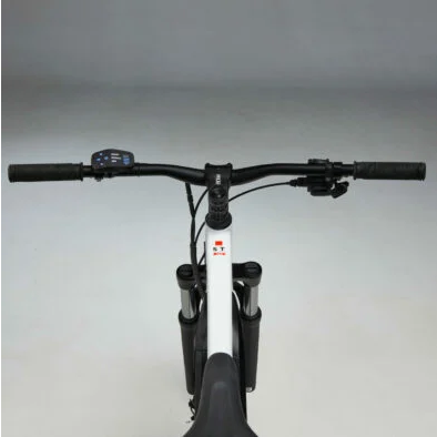 Decathlon Rockrider E-ST 100 2023 года: новый горный электрический велосипед по доступной цене и с крутыми характеристиками стал доступен для покупки в двух странах Европы
