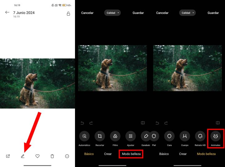 Як поліпшити фотографії домашніх улюбленців за кілька секунд за допомогою прихованого інструменту Xiaomi