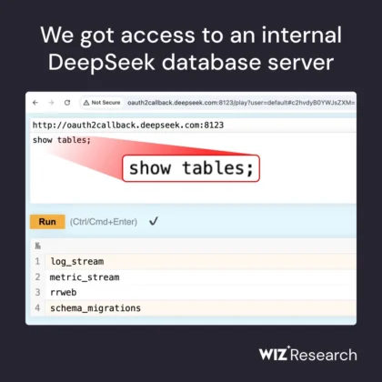 Дані DeepSeek